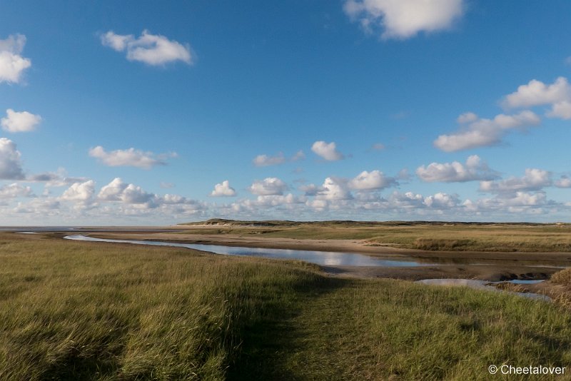 P1220739.JPG - Texel