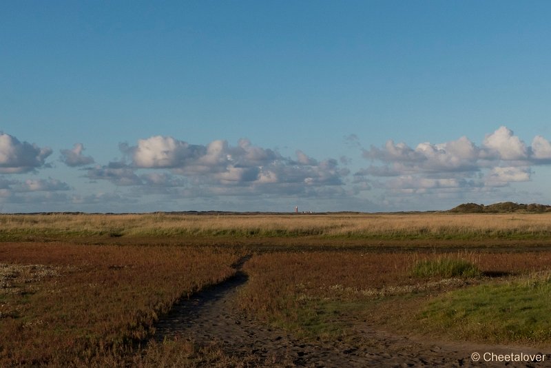 P1220754.JPG - Texel