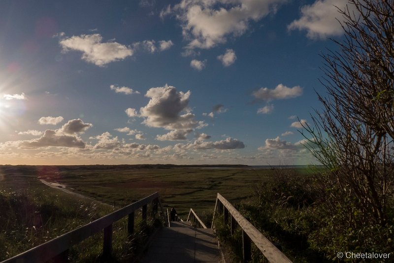 P1220757.JPG - Texel