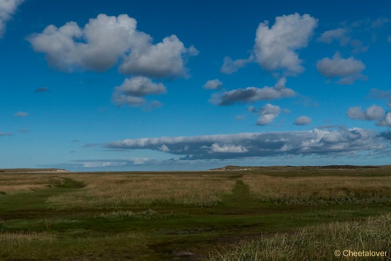 P1220769.JPG - Texel