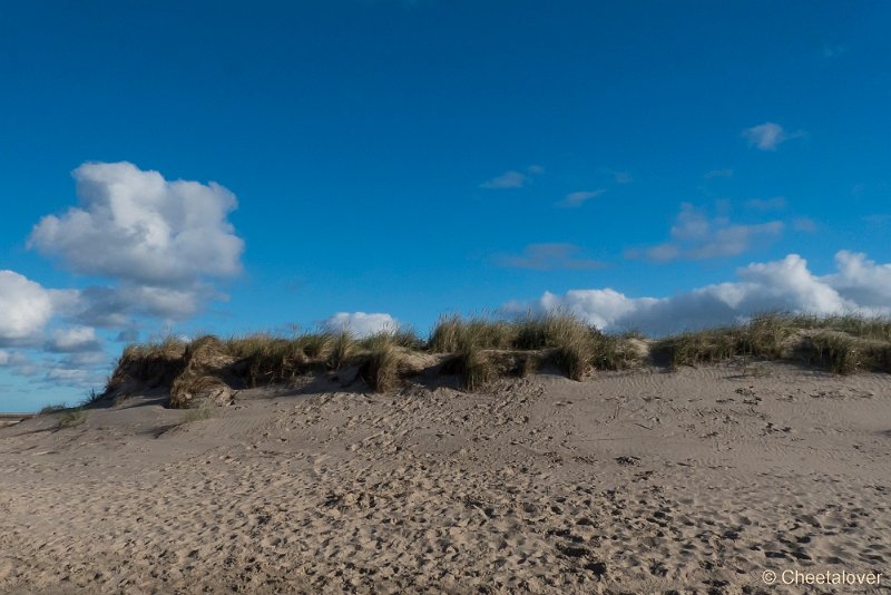 P1220771.JPG - Texel