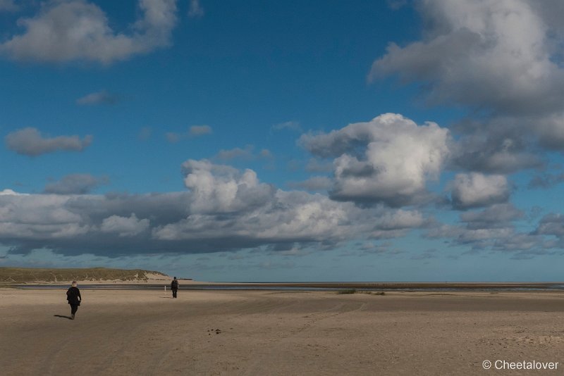 P1220775.JPG - Texel