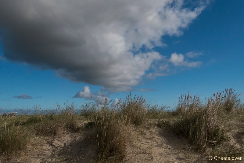 P1220783.JPG - Texel