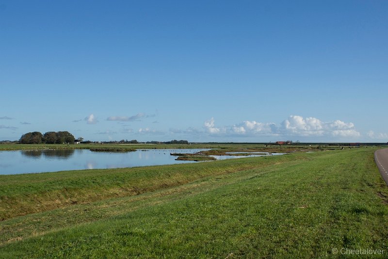 _DSC0854.JPG - Texel