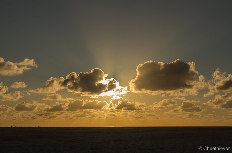 _DSC0930.JPG - Texel