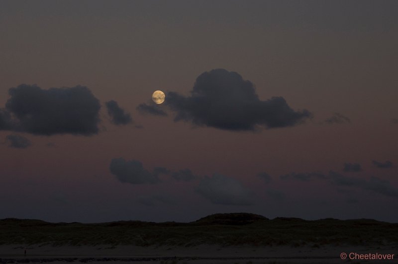 _DSC1058.JPG - Texel