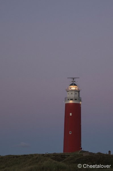 _DSC1065.JPG - Texel