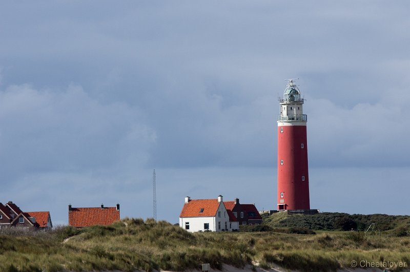 _DSC1181.JPG - Texel