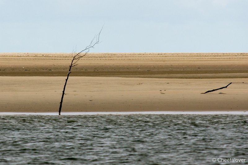 _DSC1189.JPG - Texel