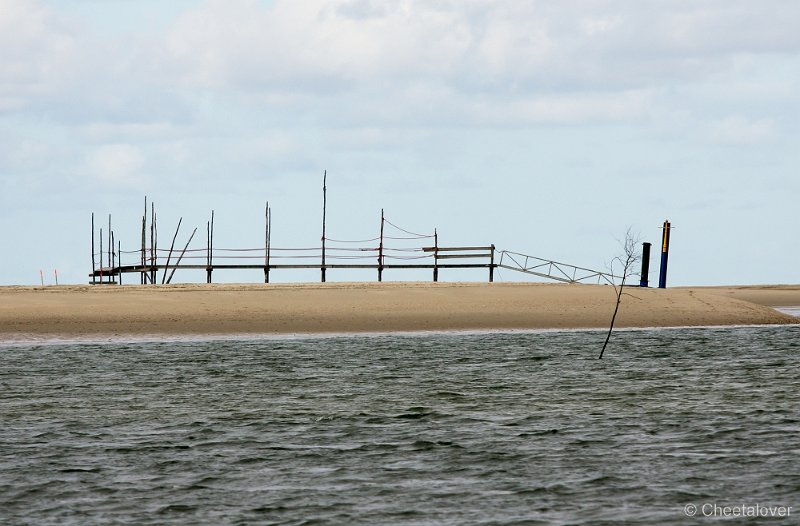 _DSC1193.JPG - Texel