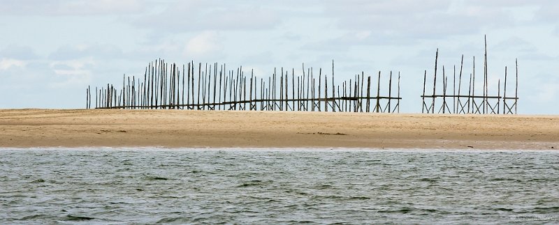 _DSC1194.JPG - Texel