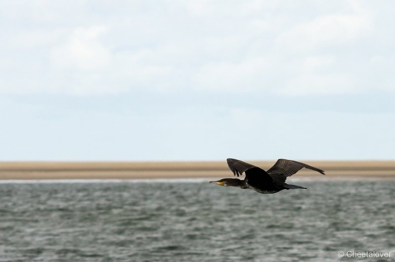 _DSC1205.JPG - Texel