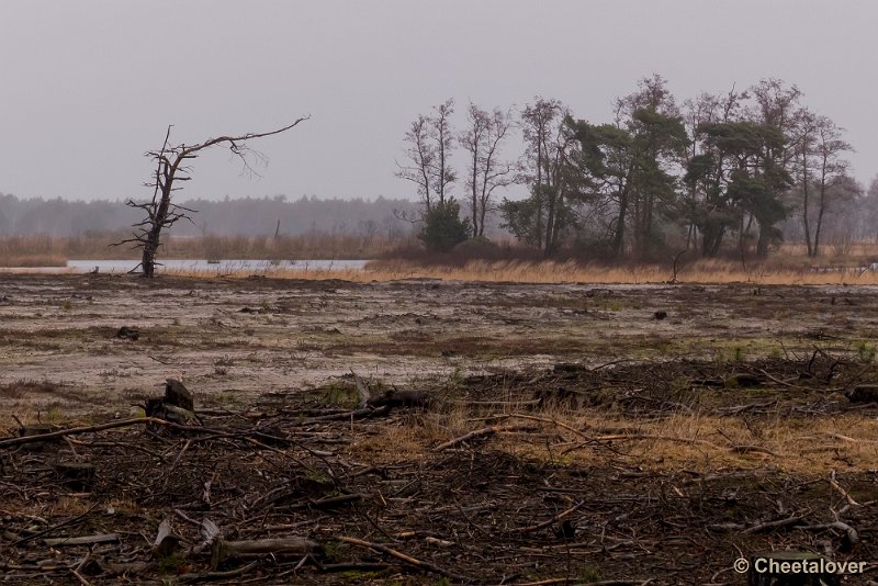 P1260727.JPG - Strabrechtse Heide