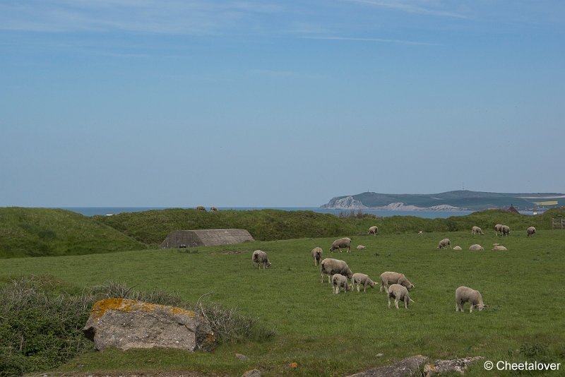 _DSC0273.JPG - Opaalkust, Frankrijk