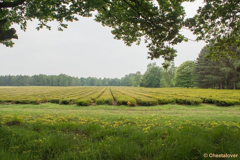 _DSC0013.JPG - Hageven, Neerpelt