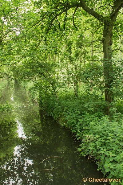 _DSC0018.JPG - Hageven, Neerpelt