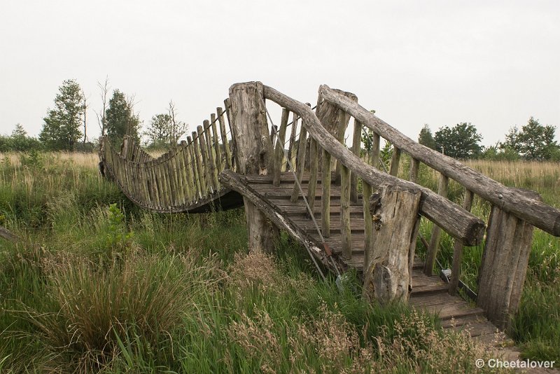 _DSC0083.JPG - Hageven, Neerpelt