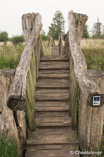 _DSC0085.JPG - Hageven, Neerpelt