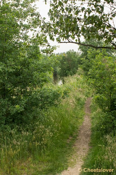 _DSC0095.JPG - Hageven, Neerpelt