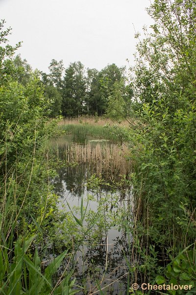 _DSC0103.JPG - Hageven, Neerpelt