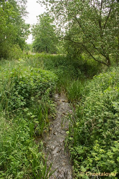 _DSC0107.JPG - Hageven, Neerpelt