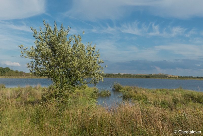 P1300348.JPG - Huis ter Heide