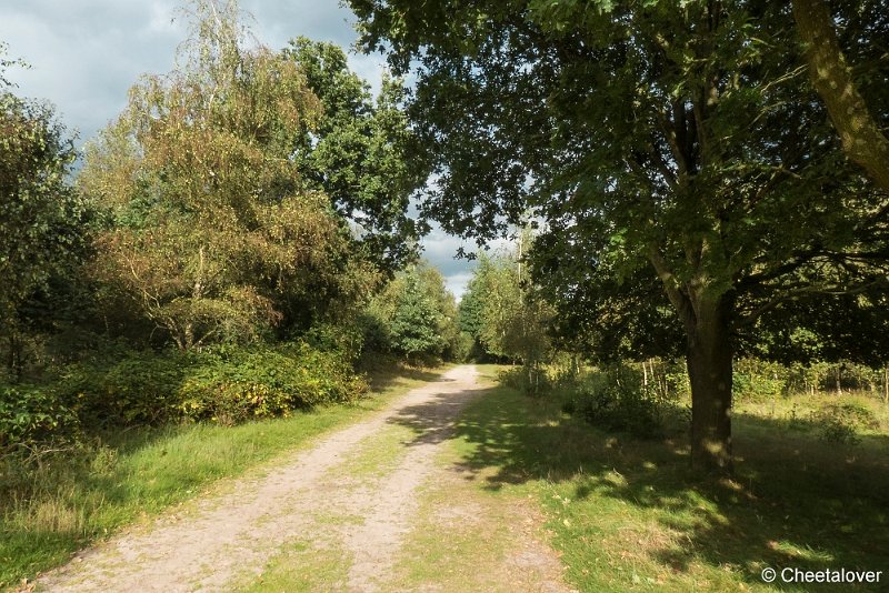 P1300400.JPG - Huis ter Heide