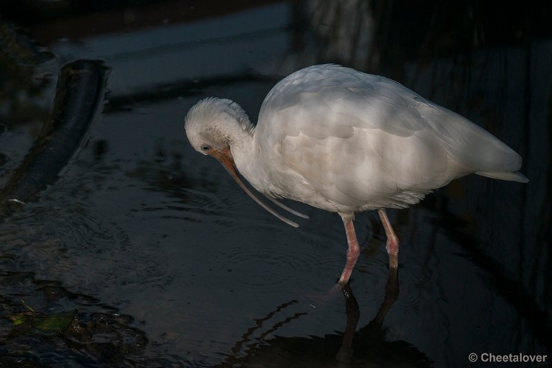 _DSC0296.JPG - 2016-10-29 Monde Verde, Wereldtuine