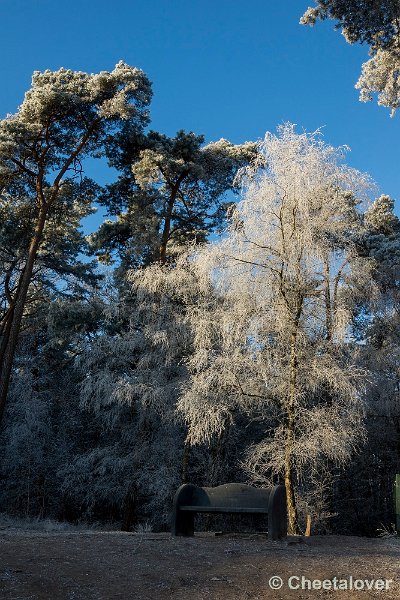 _DSC0006.JPG - Oisterwijkse Vennen en Plassen