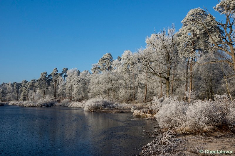 _DSC0025.JPG - Oisterwijkse Vennen en Plassen