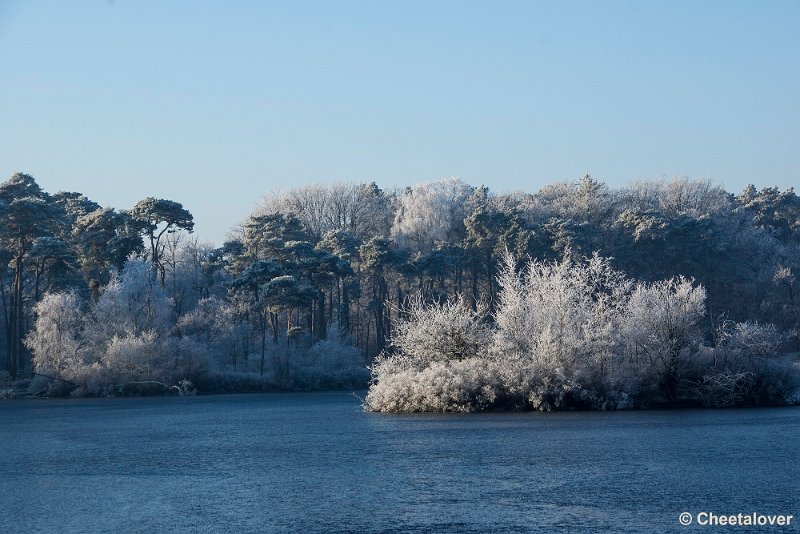 _DSC0026.JPG - Oisterwijkse Vennen en Plassen