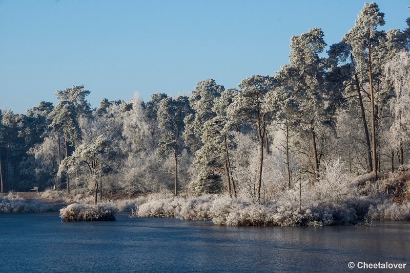 _DSC0027.JPG - Oisterwijkse Vennen en Plassen