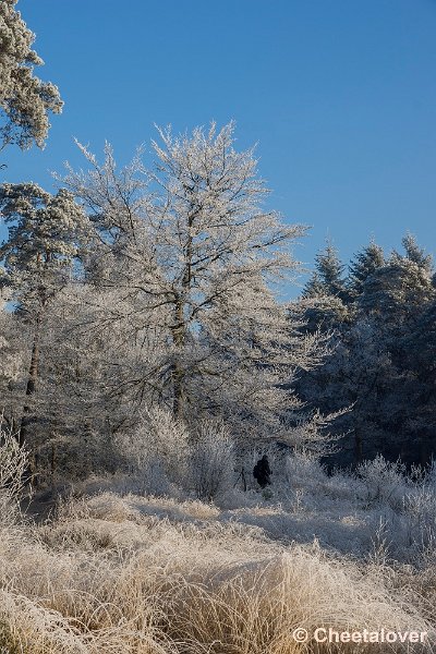 _DSC0068.JPG - Oisterwijkse Vennen en Plassen