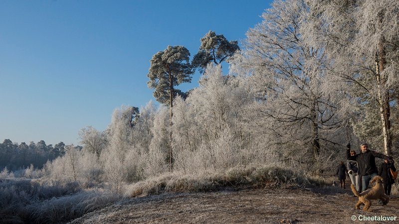 _DSC0069.JPG - Oisterwijkse Vennen en Plassen