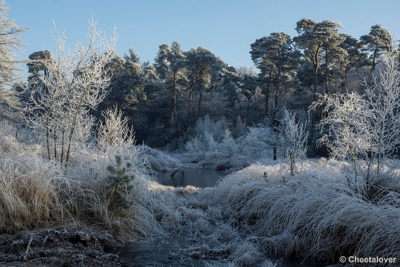 _DSC0075.JPG - Oisterwijkse Vennen en Plassen