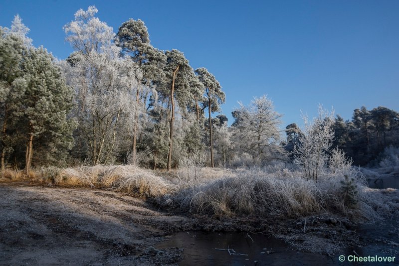 _DSC0077.JPG - Oisterwijkse Vennen en Plassen