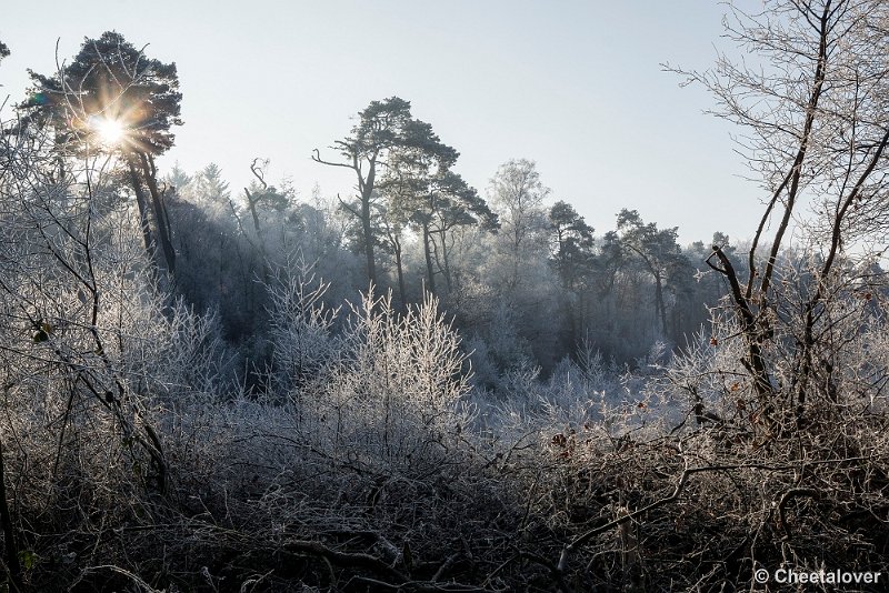 _DSC0086.JPG - Oisterwijkse Vennen en Plassen