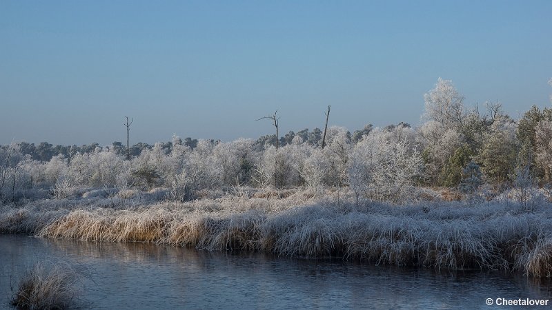 _DSC0118.JPG - Oisterwijkse Vennen en Plassen