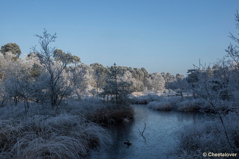 _DSC0123.JPG - Oisterwijkse Vennen en Plassen