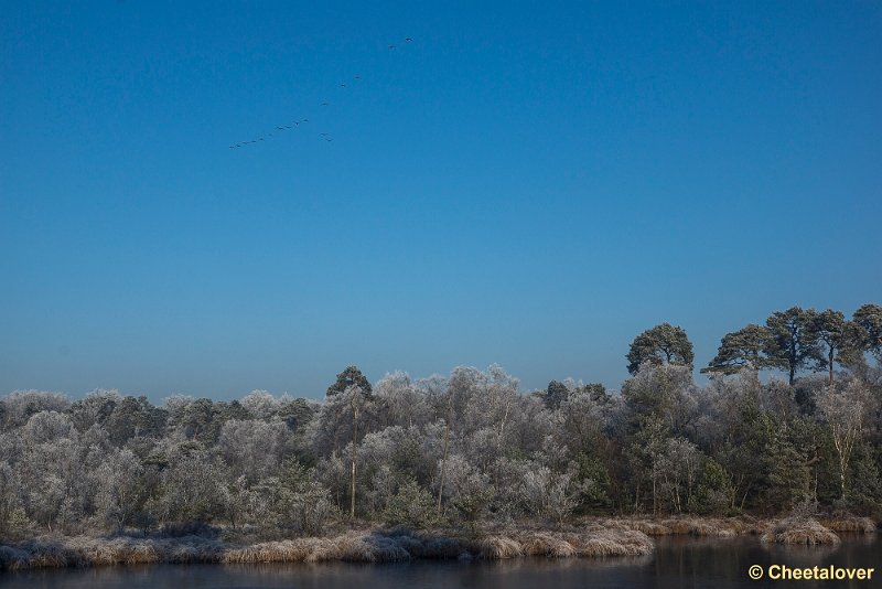 _DSC0131.JPG - Oisterwijkse Vennen en Plassen