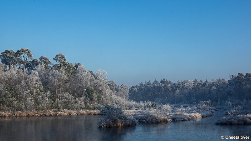 _DSC0132.JPG - Oisterwijkse Vennen en Plassen