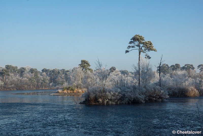 _DSC0145.JPG - Oisterwijkse Vennen en Plassen