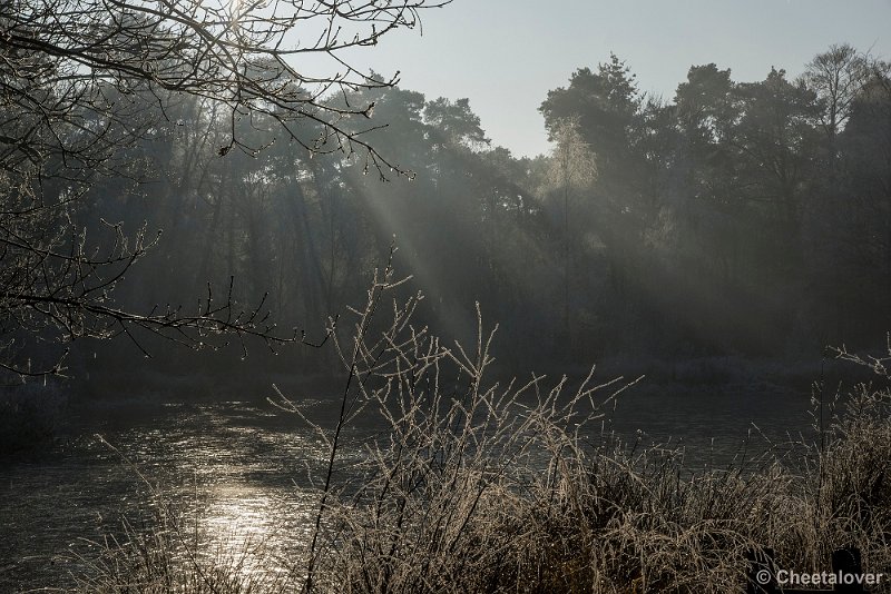 _DSC0170.JPG - Oisterwijkse Vennen en Plassen