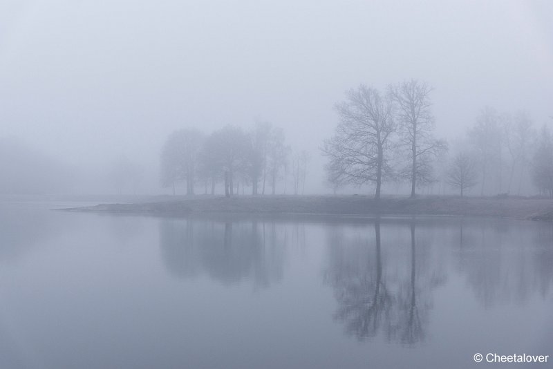 _DSC0047.JPG - Boswachterij Dorst