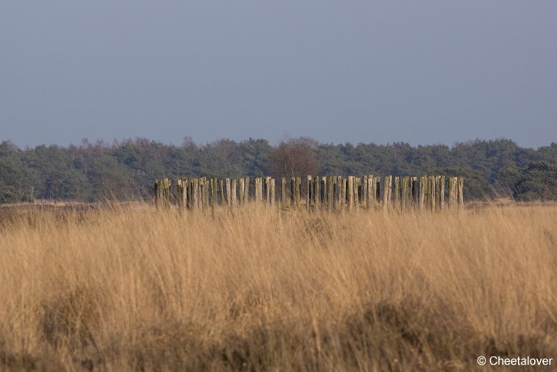 _DSC0006.JPG - Regte Heide - Grafheuvel