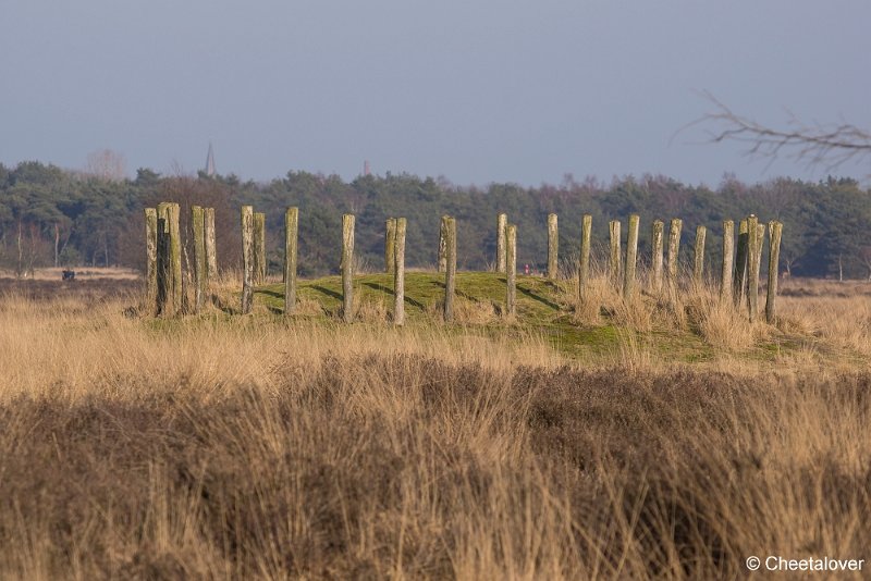 _DSC0007.JPG - Regte Heide - Grafheuvel