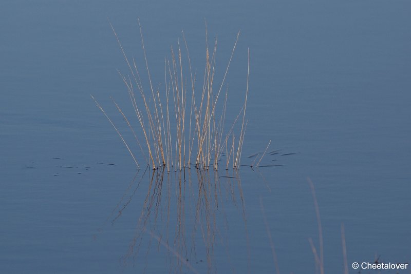 _DSC0025.JPG - Regte Heide