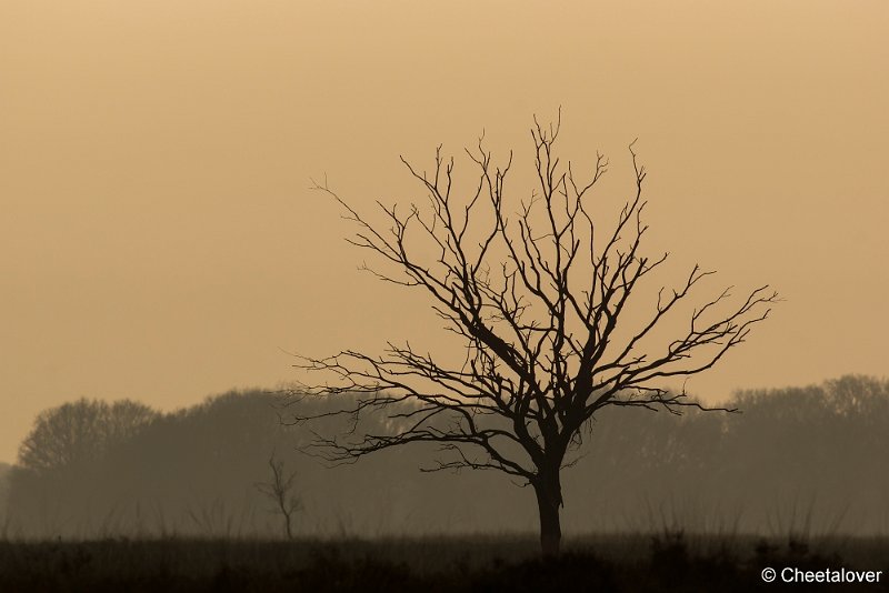 _DSC0028.JPG - Regte Heide