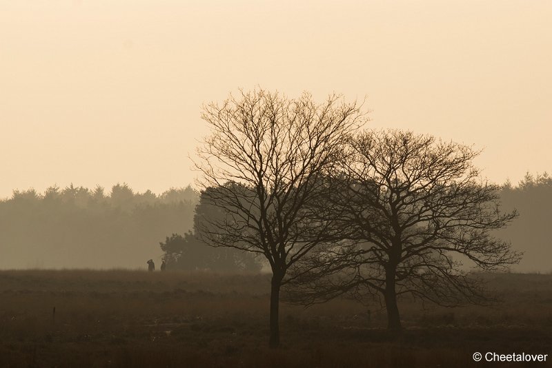 _DSC0030.JPG - Regte Heide