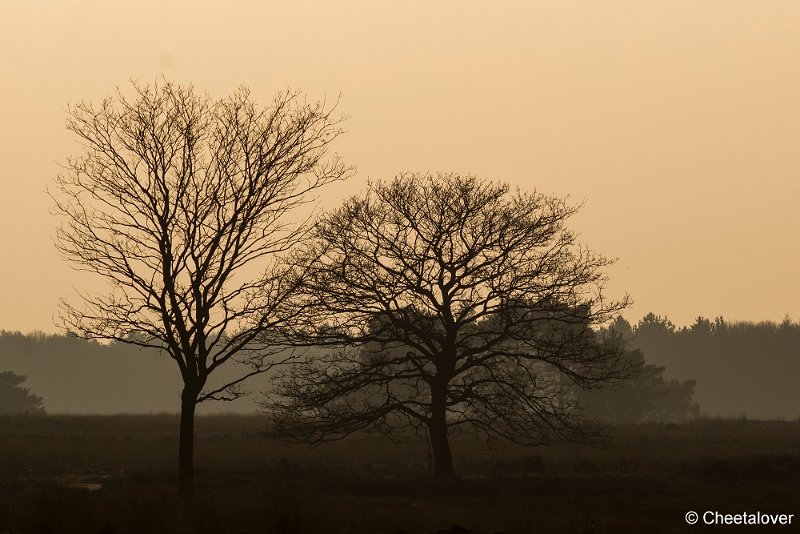 _DSC0033.JPG - Regte Heide